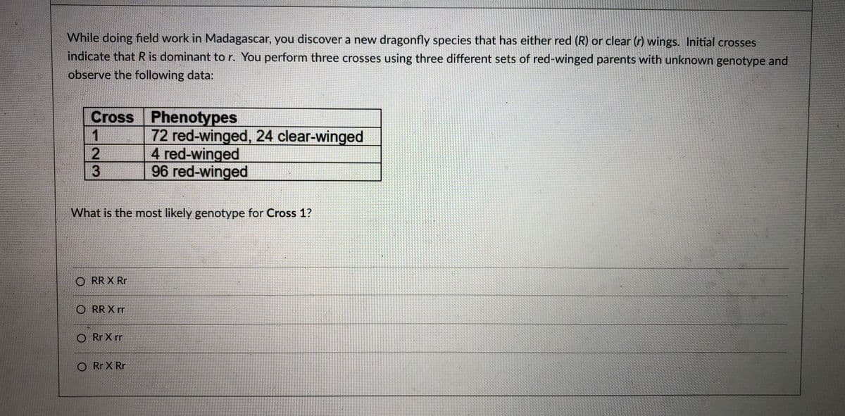 While doing field work in Madagascar, you discover a new dragonfly species that has either red (R) or clear (r) wings. Initial crosses
indicate that R is dominant to r. You perform three crosses using three different sets of red-winged parents with unknown genotype and
observe the following data:
Cross Phenotypes
72red-winged, 24 clear-winged
4 red-winged
96 red-winged
1
What is the most likely genotype for Cross 1?
O RR X Rr
O RR X rr
O Rr X rr
O Rr X Rr
23

