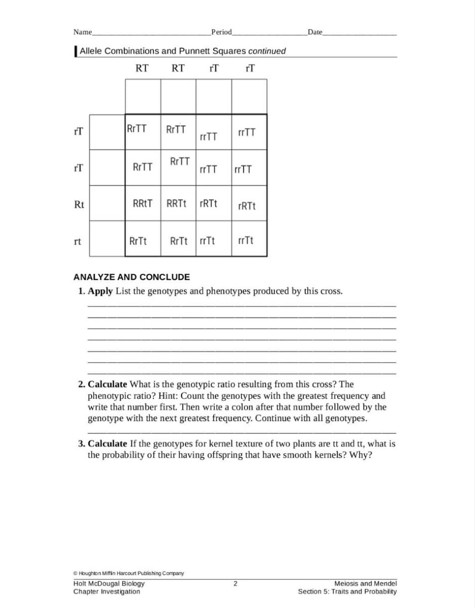 Name
Period
Date
Allele Combinations and Punnett Squares continued
RT
RT
rT
rT
rT
RrTT
RITT
rrTT
rrTT
RITT
rT
RITT
rrTT
rrTT
Rt
RRTT
RRTT
rt
RrTt
RrTt rrTt
rrTt
ANALYZE AND CONCLUDE
1. Apply List the genotypes and phenotypes produced by this cross.
2. Calculate What is the genotypic ratio resulting from this cross? The
phenotypic ratio? Hint: Count the genotypes with the greatest frequency and
write that number first. Then write a colon after that number followed by the
genotype with the next greatest frequency. Continue with all genotypes.
3. Calculate
the probability of their having offspring that have smooth kernels? Why?
the genotypes for kernel texture of two plants are tt and tt, what
© Houghton Miffin Harcourt Publishing Company
Holt McDougal Biology
Chapter Investigation
Meiosis and Mendel
Section 5: Traits and Probability
2
