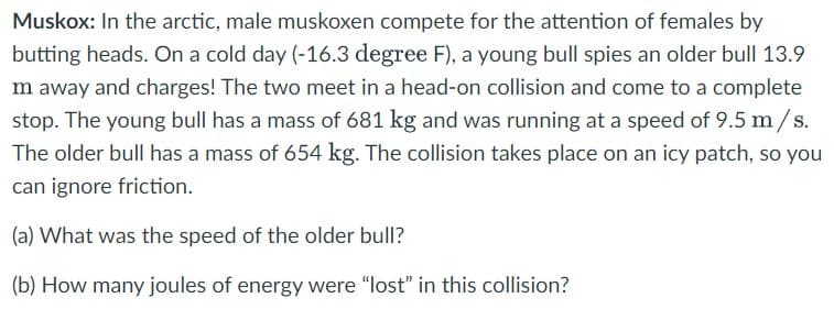 Muskox: In the arctic, male muskoxen compete for the attention of females by
butting heads. On a cold day (-16.3 degree F), a young bull spies an older bull 13.9
m away and charges! The two meet in a head-on collision and come to a complete
stop. The young bull has a mass of 681 kg and was running at a speed of 9.5 m/s.
The older bull has a mass of 654 kg. The collision takes place on an icy patch, so you
can ignore friction.
(a) What was the speed of the older bull?
(b) How many joules of energy were "lost" in this collision?
