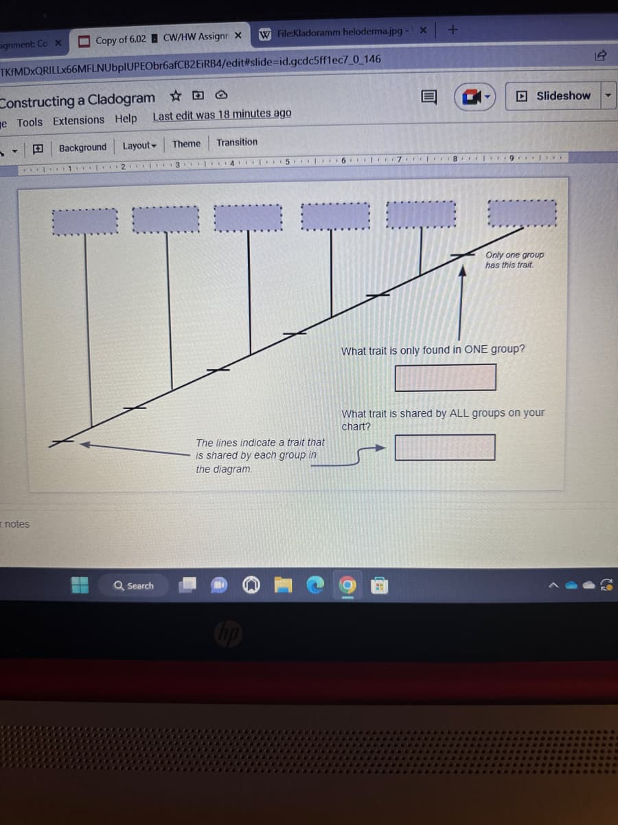 Copy of 6.02 CW/HW Assignn X
TKfMDxQRILLX66MFLNUbplUPEObr6afCB2EiRB4/edit#slide-id.gcdc5ff1ec7_0_146
signment: Co x
Constructing a Cladogram
e Tools Extensions Help Last edit was 18 minutes ago
▼
r notes
W File:Kladoramm heloderma.jpg - X +
Background
Transition
Layout Theme
1 2 3 4 5 6 7 8 9
Q Search
45
I
TII
The lines indicate a trait that
is shared by each group in
the diagram.
E
Fr
H
819
What trait is only found in ONE group?
Slideshow
****
Only one group
has this trait
What trait is shared by ALL groups on your
chart?