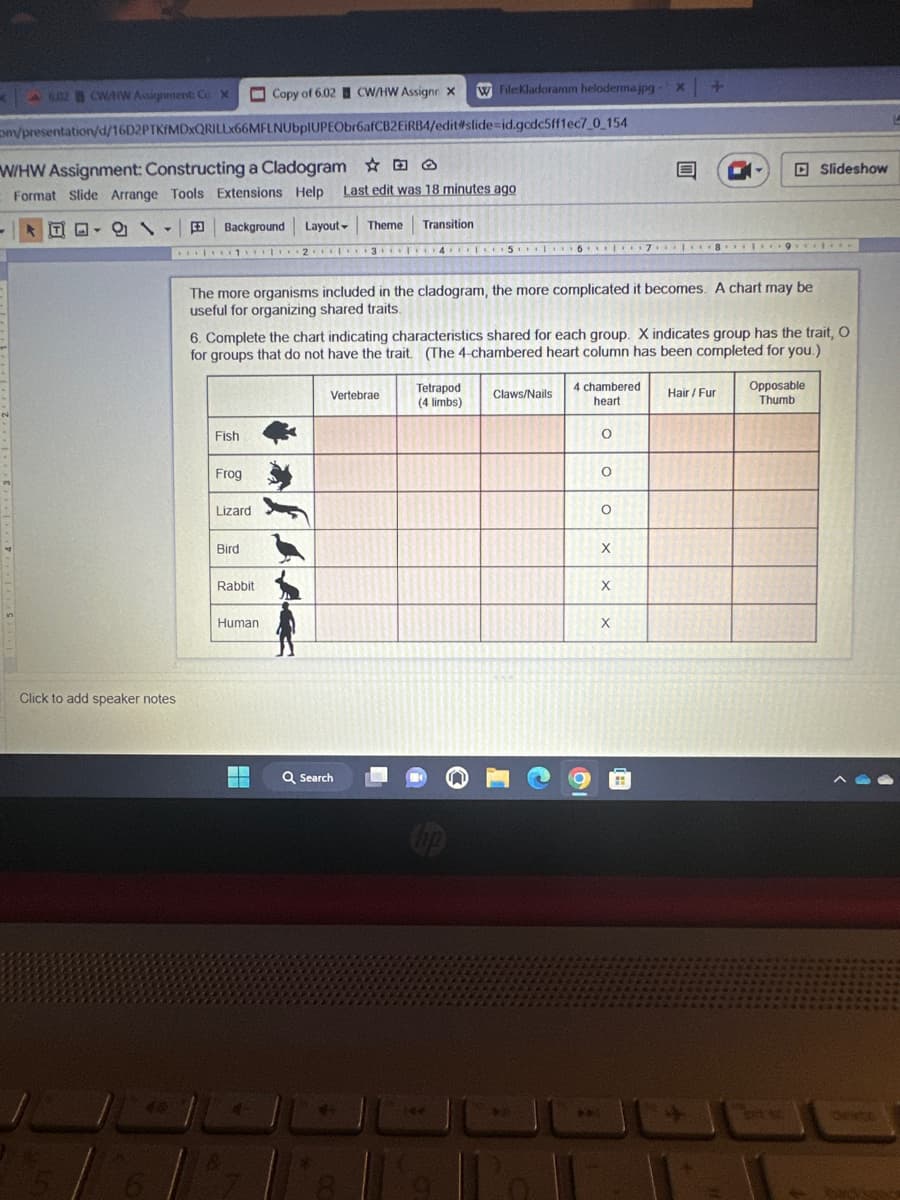 K
6.02 CWAIW Assignment: Co X
Copy of 6.02 CW/HW Assignr X
m/presentation/d/16D2PTKFMDxQRILLX66MFLNUbpIUPEObr6afCB2EiRB4/edit#slide=id.gcdc5ff1ec7_0_154
W/HW Assignment: Constructing a Cladogram
Format Slide Arrange Tools Extensions Help
-
DEIG VE
Y
Click to add speaker notes
Fish
Frog
Background Layout | Theme
Transition
1 2 3 4 5 6 7 8 9 1
12.1
Lizard
The more organisms included in the cladogram, the more complicated it becomes. A chart may be
useful for organizing shared traits.
Bird
Rabbit
6. Complete the chart indicating characteristics shared for each group. X indicates group has the trait, O
for groups that do not have the trait. (The 4-chambered heart column has been completed for you.)
Human
W File:Kladoramm heloderma.jpg
Last edit was 18 minutes ago
4-
Vertebrae
Q Search
Tetrapod
(4 limbs)
Claws/Nails
4 chambered
heart
24
O
O
O
C
X
x +
X
X
O
Hair / Fur
Slideshow
Opposable
Thumb
pit s