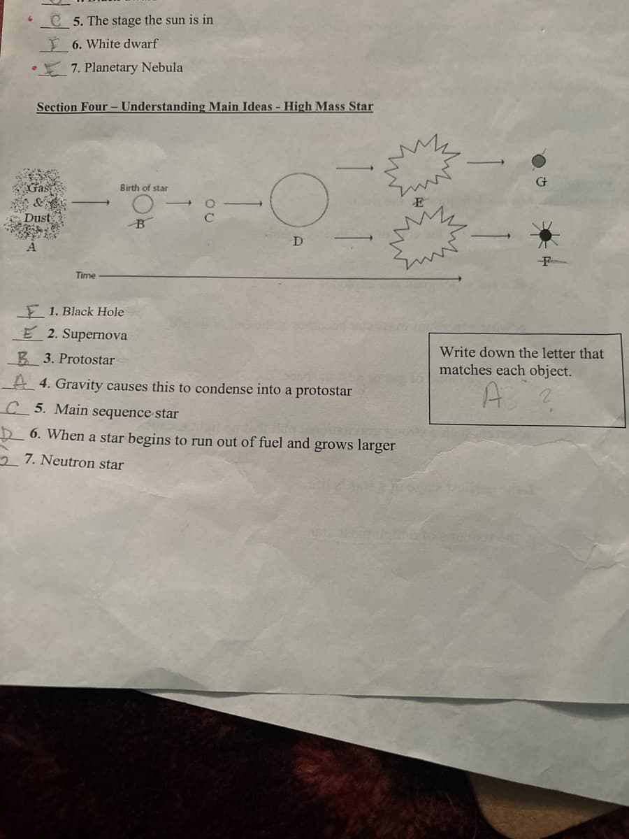 5. The stage the sun is in
6. White dwarf
7. Planetary Nebula
Section Four-Understanding Main Ideas - High Mass Star
Birth of star
&
Dust
0
C
B
A
D
Time
G
1. Black Hole
E 2. Supernova
B3. Protostar
A 4. Gravity causes this to condense into a protostar
C 5. Main sequence star
6. When a star begins to run out of fuel and grows larger
27. Neutron star
Write down the letter that
matches each object.
A