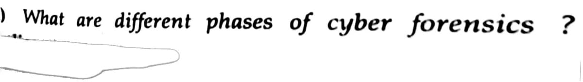 ) What are
different phases of cyber forensics ?