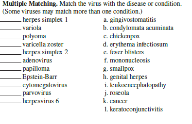 Multiple Matching. Match the virus with the disease or condition.
(Some viruses may match more than one condition.)
a. gingivostomatitis
b. condylomata acuminata
c. chickenpox
d. erythema infectiosum
e. fever blisters
herpes simplex 1
.variola
- polyoma
-varicella zoster
herpes simplex 2
- adenovirus
f. mononucleosis
- papilloma
LEpstein-Barr
-cytomegalovirus
- parvovirus
- herpesvirus 6
g. smallpox
h. genital herpes
i. leukoencephalopathy
j. roseola
k. cancer
1. keratoconjunctivitis
