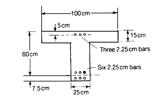 -100cm-
5cm
15cm
Three 2.25 cm bars
60cm
Six 2.25 cm bars
'7.5cm
25 cm
