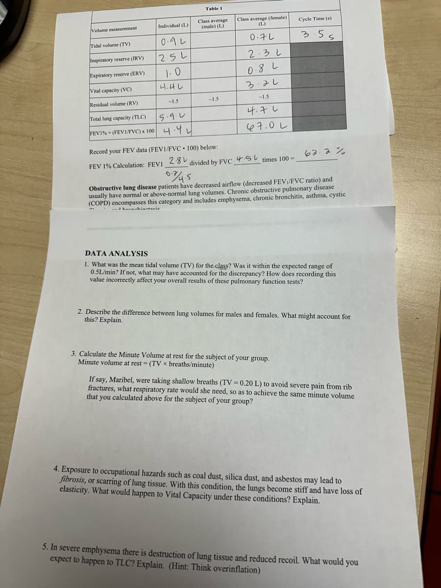 Table 1
Volume measurement
Individual (L)
Class average
(male) (L)
Class average (female)
(L)
Cycle Time(s)
Tidal volume (TV)
Inspiratory reserve (IRV)
Expiratory reserve (ERV)
Vital capacity (VC)
Residual volume (RV)
Total lung capacity (TLC)
FEV1% (FEV1/FVC) x 100 4.4
.
Record your FEV data (FEV1/FVC 100) below:
0·92
25 L
071
3.5
S
2.3L
1.0
08L
4.42
3.22
-1.5
-1.5
-1.5
5.92
4.76
67.02
FEV 1% Calculation: FEV1
282
62.2%
divided by FVC 5 times 100=
0745
Obstructive lung disease patients have decreased airflow (decreased FEV1/FVC ratio) and
usually have normal or above-normal lung volumes. Chronic obstructive pulmonary disease
(COPD) encompasses this category and includes emphysema, chronic bronchitis, asthma, cystic
dhanahiantacie
DATA ANALYSIS
1. What was the mean tidal volume (TV) for the class? Was it within the expected range of
0.5L/min? If not, what may have accounted for the discrepancy? How does recording this
value incorrectly affect your overall results of these pulmonary function tests?
2. Describe the difference between lung volumes for males and females. What might account for
this? Explain.
3. Calculate the Minute Volume at rest for the subject of your group.
Minute volume at rest = (TV x breaths/minute)
If say, Maribel, were taking shallow breaths (TV = 0.20 L) to avoid severe pain from rib
fractures, what respiratory rate would she need, so as to achieve the same minute volume
that you calculated above for the subject of your group?
4. Exposure to occupational hazards such as coal dust, silica dust, and asbestos may lead to
fibrosis, or scarring of lung tissue. With this condition, the lungs become stiff and have loss of
elasticity. What would happen to Vital Capacity under these conditions? Explain.
5. In severe emphysema there is destruction of lung tissue and reduced recoil. What would you
expect to happen to TLC? Explain. (Hint: Think overinflation)