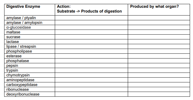 Digestive Enzyme
amylase / ptyalin
amylase / amylopsin
a-glucosidase
maltase
sucrase
lactase
lipase / streapsin
phospholipase
esterase
phosphatase
pepsin
trypsin
chymotrypsin
aminopeptidase
carboxypeptidase
ribonuclease
deoxyribonuclease
Action:
Substrate -> Products of digestion
Produced by what organ?