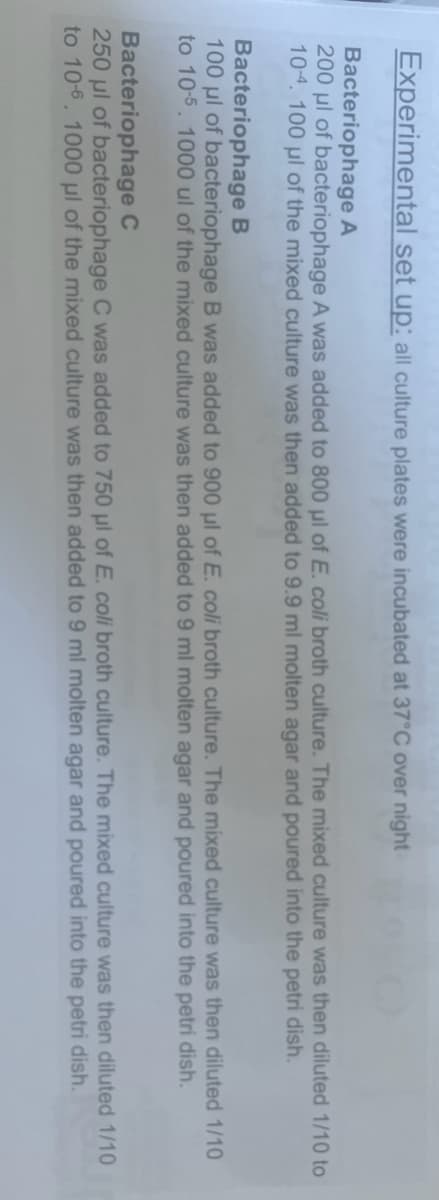 Experimental set up: all culture plates were incubated at 37°C over night
Bacteriophage A
200 μl of bacteriophage A was added to 800 μl of E. coli broth culture. The mixed culture was then diluted 1/10 to
10-4. 100 µl of the mixed culture was then added to 9.9 ml molten agar and poured into the petri dish.
Bacteriophage B
100 μl of bacteriophage B was added to 900 μl of E. coli broth culture. The mixed culture was then diluted 1/10
to 10-5. 1000 ul of the mixed culture was then added to 9 ml molten agar and poured into the petri dish.
Bacteriophage C
250 μl of bacteriophage C was added to 750 μl of E. coli broth culture. The mixed culture was then diluted 1/10
to 10-6. 1000 μl of the mixed culture was then added to 9 ml molten agar and poured into the petri dish.