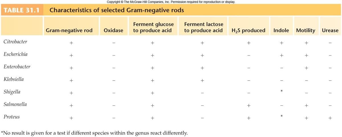 TABLE 31.1
Citrobacter
Escherichia
Enterobacter
Klebsiella
Shigella
Salmonella
Proteus
Characteristics of selected Gram-negative rods
Gram-negative rod
+
+
+
+
+
Copyright © The McGraw-Hill Companies, Inc. Permission required for reproduction or display.
+
Oxidase
Ferment glucose
to produce acid
+
+
+
+
+
+
+
Ferment lactose
to produce acid
*No result is given for a test if different species within the genus react differently.
+
+
+ + TT 1
H₂S produced
+
T
+ +
Indole
+
+
*
*
Motility Urease
+
+
1
+
+
+