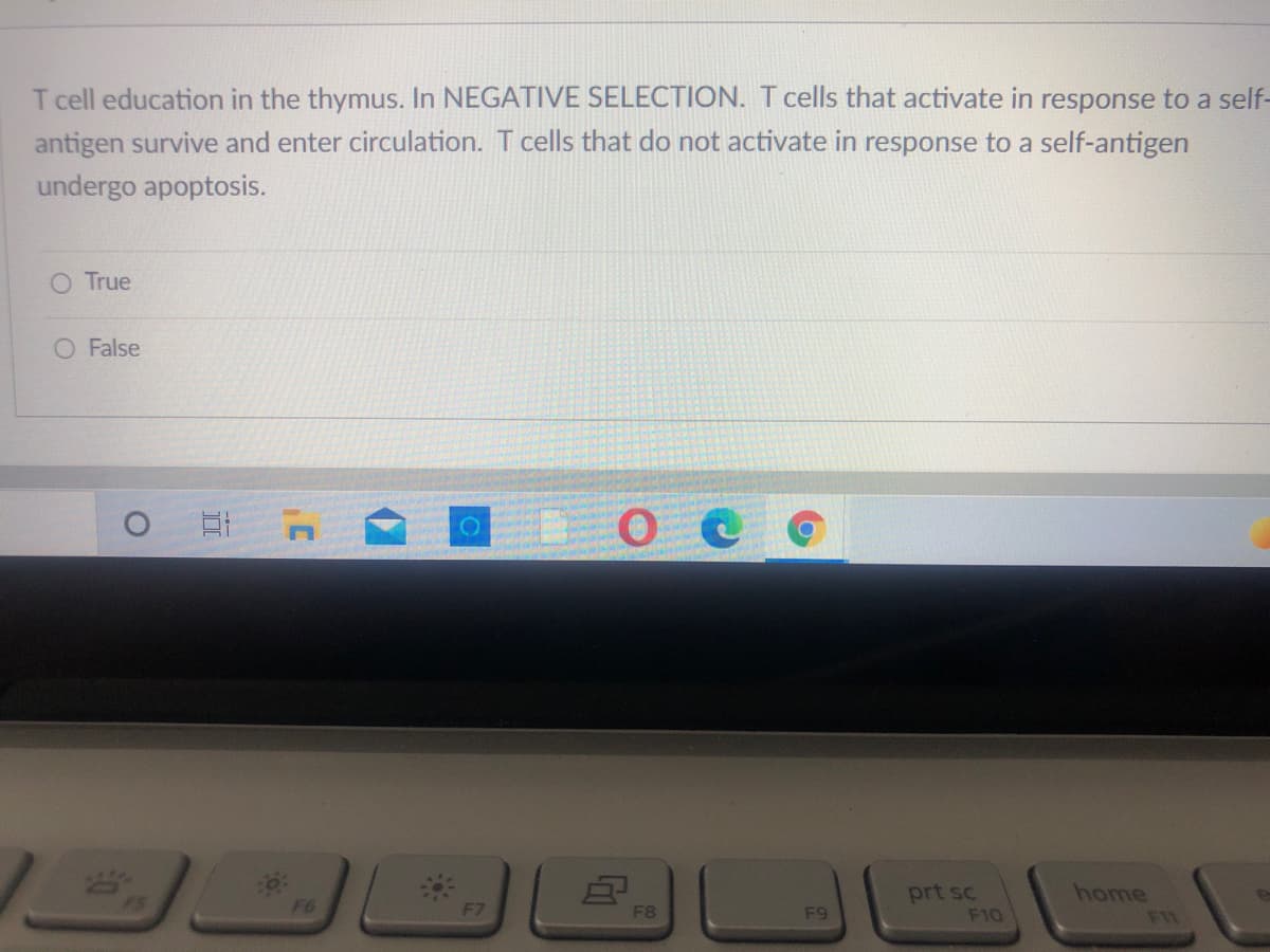 T cell education in the thymus. In NEGATIVE SELECTION. T cells that activate in response to a self-
antigen survive and enter circulation. T cells that do not activate in response to a self-antigen
undergo apoptosis.
O True
O False
prt sc
F10
home
F6
F8
F9
FI1
