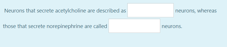 Neurons that secrete acetylcholine are described as
neurons, whereas
those that secrete norepinephrine are called
neurons.
