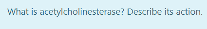 What is acetylcholinesterase? Describe its action.
