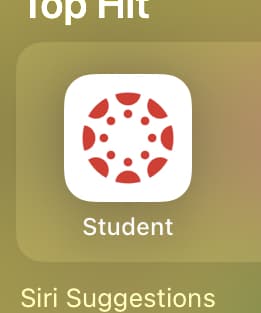 Top
Student
Siri Suggestions