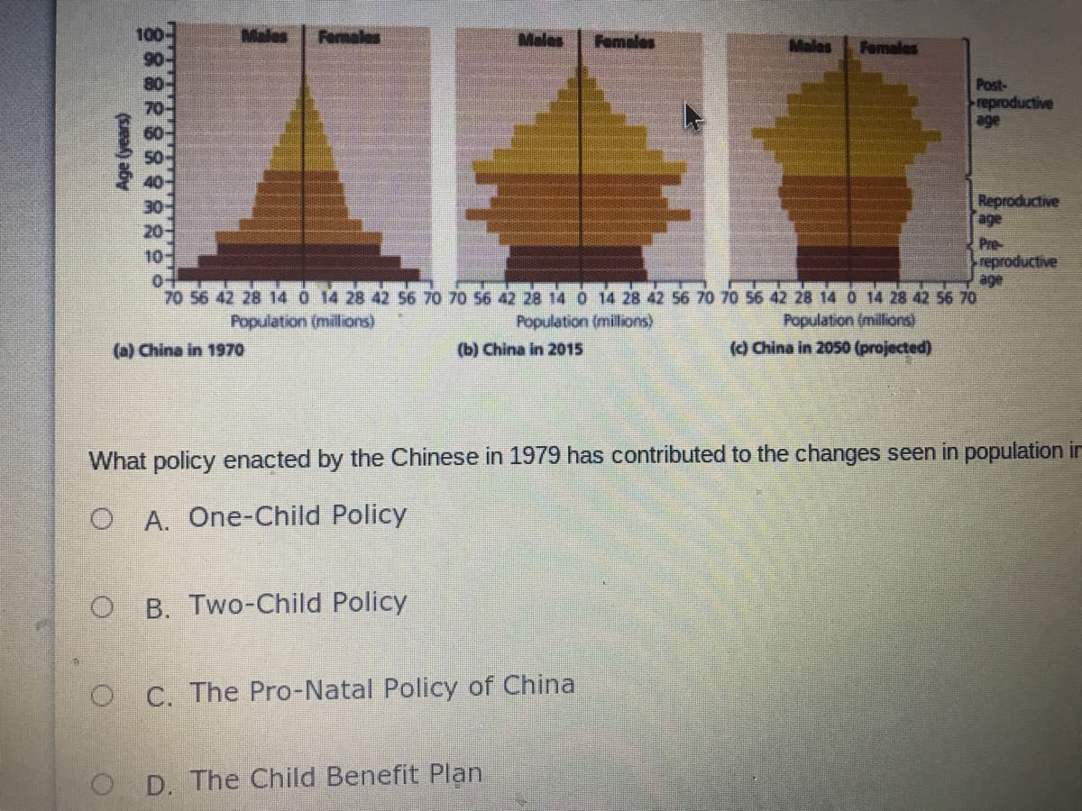 100
Males
Famales
Males
Famales
Males
Famales
Post-
reproductive
age
Reproductive
age
20
Pre-
reproductive
age
10
70 56 42 28 14 0 14 28 42 56 70 70 S6 42 28 14 0 14 28 42 56 70 70 56 42 28 14 0 14 28 42 56 70
Population (millions)
Population (millions)
() China in 2050 (projected)
Population (millions)
(a) China in 1970
(b) China in 2015
What policy enacted by the Chinese in 1979 has contributed to the changes seen in population in
O A. One-Child Policy
O B. Two-Child Policy
O C. The Pro-Natal Policy of China
O D. The Child Benefit Plan
Age (years)
