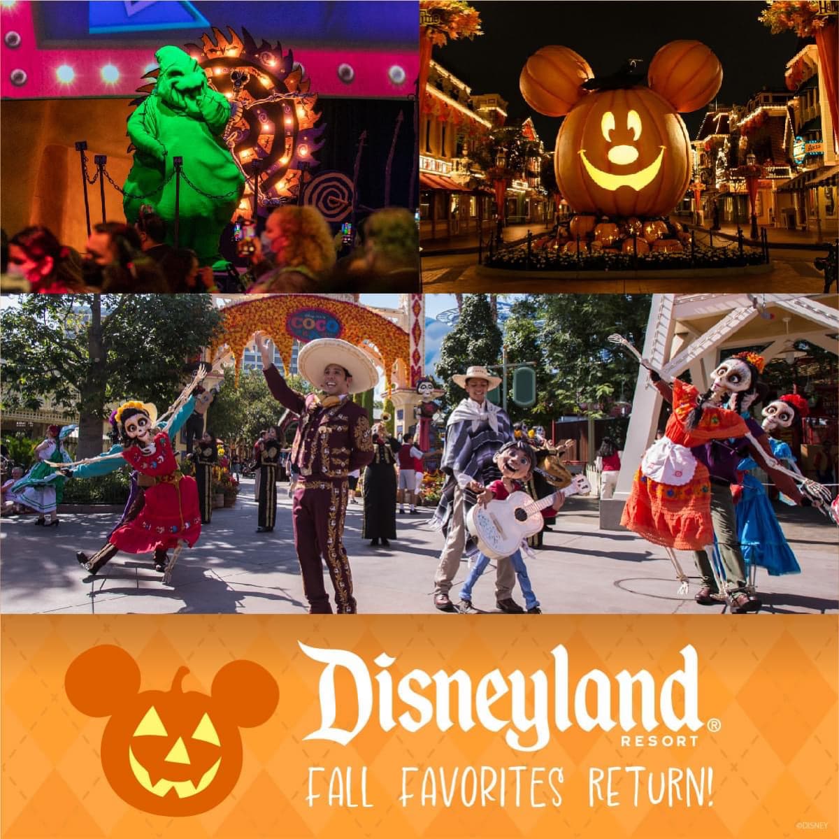 ### Disneyland Resort: Fall Favorites Return!

Experience the magic of Disneyland Resort this fall with festive decorations, vibrant costumes, and beloved characters. The seasonal attractions and shows create an unforgettable experience for visitors of all ages. 

#### Highlights of the Season:

1. **Spooky Season Fun:**
   - The top left image features a character dressed in green with a spooky setup in the background, indicating thrilling Halloween-themed entertainment.
   
2. **Enchanting Decorations:**
   - The top right image showcases Main Street adorned with festive lights and autumnal decorations, featuring a giant illuminated Mickey Mouse pumpkin that adds a magical nighttime glow.

3. **Celebration of Culture:**
   - The bottom left image captures a lively Dia de los Muertos (Day of the Dead) celebration with dancers in colorful costumes, performing traditional dances, and engaging with guests.

4. **Family Fun:**
   - The bottom right image depicts families enjoying the festivities, with children and adults alike experiencing the joy and excitement through music and dance.

#### Join the Celebration:
The banner at the bottom proudly announces, "Disneyland Resort - Fall Favorites Return!" with a classic Mickey Mouse pumpkin icon. This fall, immerse yourself in the wonder and excitement that Disneyland Resort has to offer!

Make sure to plan your visit and experience the enchanting fall transformation at Disneyland Resort. For more information and tickets, visit our official website.