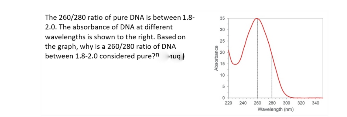 The 260/280 ratio of pure DNA is between 1.8-
35
2.0. The absorbance of DNA at different
30
wavelengths is shown to the right. Based on
the graph, why is a 260/280 ratio of DNA
between 1.8-2.0 considered pure?n
25
20
15
10
220
240
260
280
300
320
340
Wavelength (nm)
Absorbance
