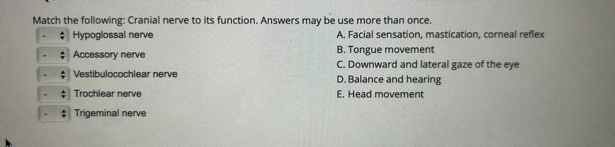 Match the following: Cranial nerve to its function. Answers may be use more than once.
Hypoglossal nerve
+ Accessory nerve
-
Vestibulocochlear nerve
Trochlear nerve
◆ Trigeminal nerve
A. Facial sensation, mastication, corneal reflex
B. Tongue movement
C. Downward and lateral gaze of the eye
D. Balance and hearing
E. Head movement