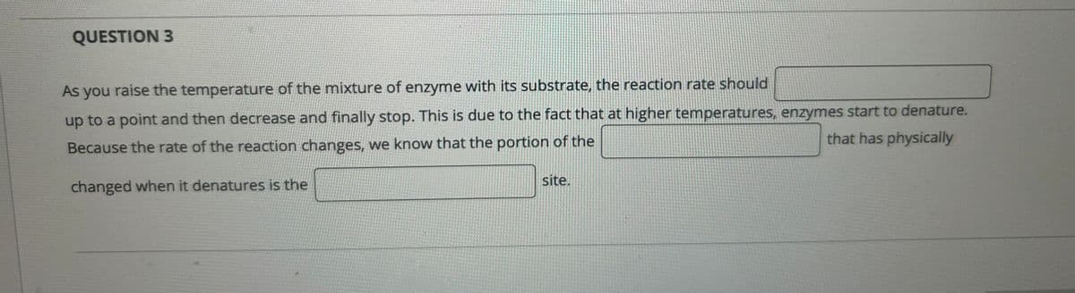 QUESTION 3
As you raise the temperature of the mixture of enzyme with its substrate, the reaction rate should
up to a point and then decrease and finally stop. This is due to the fact that at higher temperatures, enzymes start to denature.
Because the rate of the reaction changes, we know that the portion of the
that has physically
changed when it denatures is the
site.