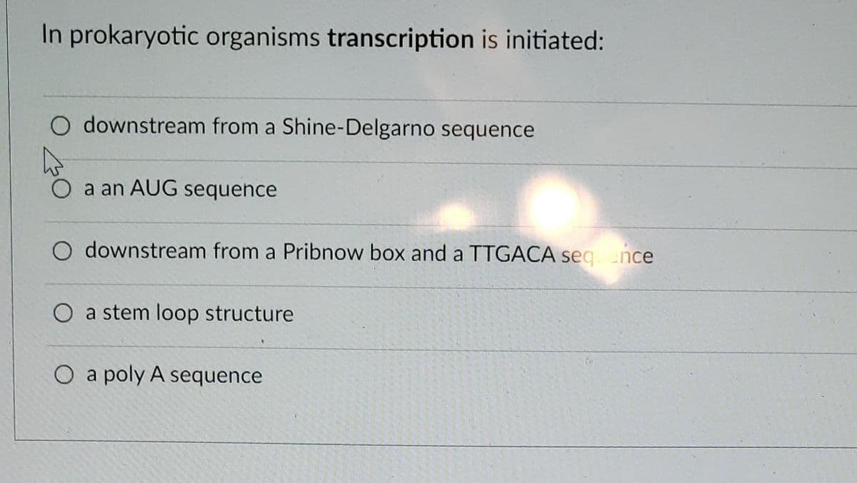 In prokaryotic organisms transcription is initiated:
O downstream from a Shine-Delgarno sequence
O a an AUG sequehce
downstream from a Pribnow box and a TTGACA seg ence
a stem loop structure
O a poly A sequence
