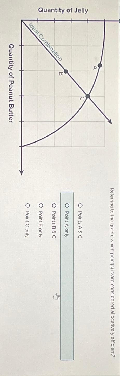 Quantity of Jelly
Ideal Combination
B
A
Referring to the graph, which point(s) is/are considered allocatively efficient?
O Points A & C
O Point A only
O Points B & C
O Point B only
Quantity of Peanut Butter
O Point C only