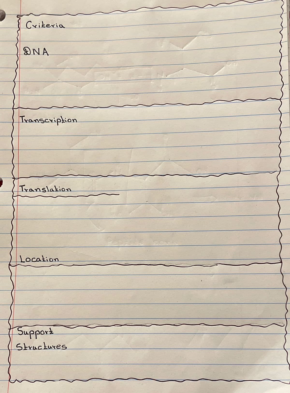 Criteria
DNA
Transcription
Translakion
Location
Support
Struckures
