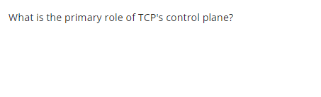 What is the primary role of TCP's control plane?
