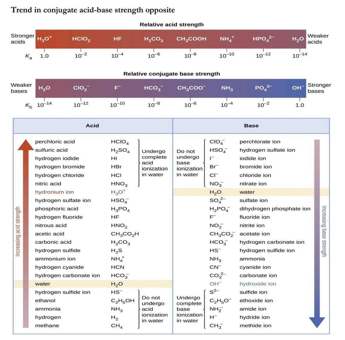 Trend in conjugate acid-base strength opposite
Relative acid strength
Stronger
acids
Weaker
H,0*
HCIO2
HF
H,CO3
CH,COOH
NH,
HPO
H20
acids
Ka
10-2
10-12
1.0
10-4
10-6
10-8
10-10
10-14
Relative conjugate base strength
Weaker
CIO,
HCO3
CH,CO0
PO,3-
Stronger
bases
H20
NH3
ОН
bases
К, 10-14
10-12
10 4
10-10
10-8
10-6
10-2
1.0
Acid
Base
perchloric acid
HCIO4
CIO,
perchlorate ion
sulfuric acid
H2SO4
HSO,
hydrogen sulfate ion
Undergo
complete
acid
Do not
undergo
hydrogen iodide
HI
iodide ion
base
hydrogen bromide
HBr
Br
bromide ion
ionization
in water
ionization
hydrogen chloride
HCI
in water
CI
chloride ion
nitric acid
HNO3
NO3
nitrate ion
hydronium ion
H30*
H2O
water
hydrogen sulfate ion
HSO,
so?-
sulfate ion
phosphoric acid
H3PO4
H„PO,
dihydrogen phosphate ion
hydrogen fluoride
HE
fluoride ion
nitrous acid
HNO,
NO,
nitrite ion
acetic acid
CH;CO,H
CH3CO,
acetate ion
carbonic acid
H,CO3
HCO3
hydrogen carbonate ion
hydrogen sulfide
H2S
HS
hydrogen sulfide ion
ammonium ion
NHA
NH3
ammonia
hydrogen cyanide
НCN
CN-
cyanide ion
hydrogen carbonate ion
HCO3
co-
carbonate ion
water
H20
OH
hydroxide ion
hydrogen sulfide ion
HS
s²-
sulfide ion
Do not
undergo
Undergo
complete
ethanol
C2H5OH
ethoxide ion
ammonia
NH3
acid
base
NH,
amide ion
ionization
ionization
hydrogen
H2
hydride ion
in water
in water
methane
CH4
CH3
methide ion
Increasing acid strength
Increasing base strength
