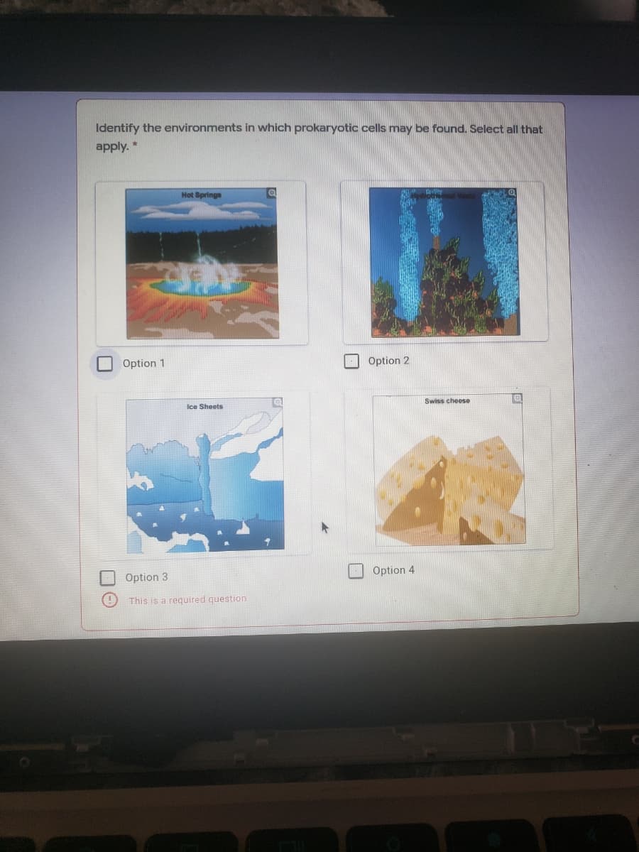 Identify the environments in which prokaryotic cells may be found. Select all that
apply. *
Hot Springs
O Option 1
| Option 2
Ice Sheets
Swiss cheese
Option 3
Option 4
This is a required question
