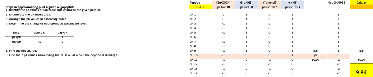 Peptide
К(асоон)
G(ANH3)
Y(phenol)
κ(NH3)
Net CHARGE
Calc. pl
Steps in approximating pl of a given oligopeptide.
1. identify the pk vaiues of ionizable side chains of the given peptide.
G-Y-K
pK1=2.18
pК2-9.60
pKR=10.07
pKR=10.53
2. Enumerate the pH leveis 1-14.
pH 1
3. Arrange the pk vaiues in ascending oraer.
4. Determine tne cnarge or eacn group at speciTic pH levei:
PH 3
-1
PH 4
-1
Rule:
acidic R
basic k
PH 5
-1
1
pk>pH
pH 6
-1
1
pk<pH
-1
PH /
-1
PH 8
-1
5. Find the net charge.
pH 9
-1
9.6
9.6
6. Find the 2 pk values surrounding the pH ievel at wnich the peptide is U-cnarge.
pH 10
-1
pi
PH 11
-1
10.07
-2
10.07
рн 12
-1
-1
-2
рH 13
-1
-1
--
рH 14
9.84
-1
-1
--
