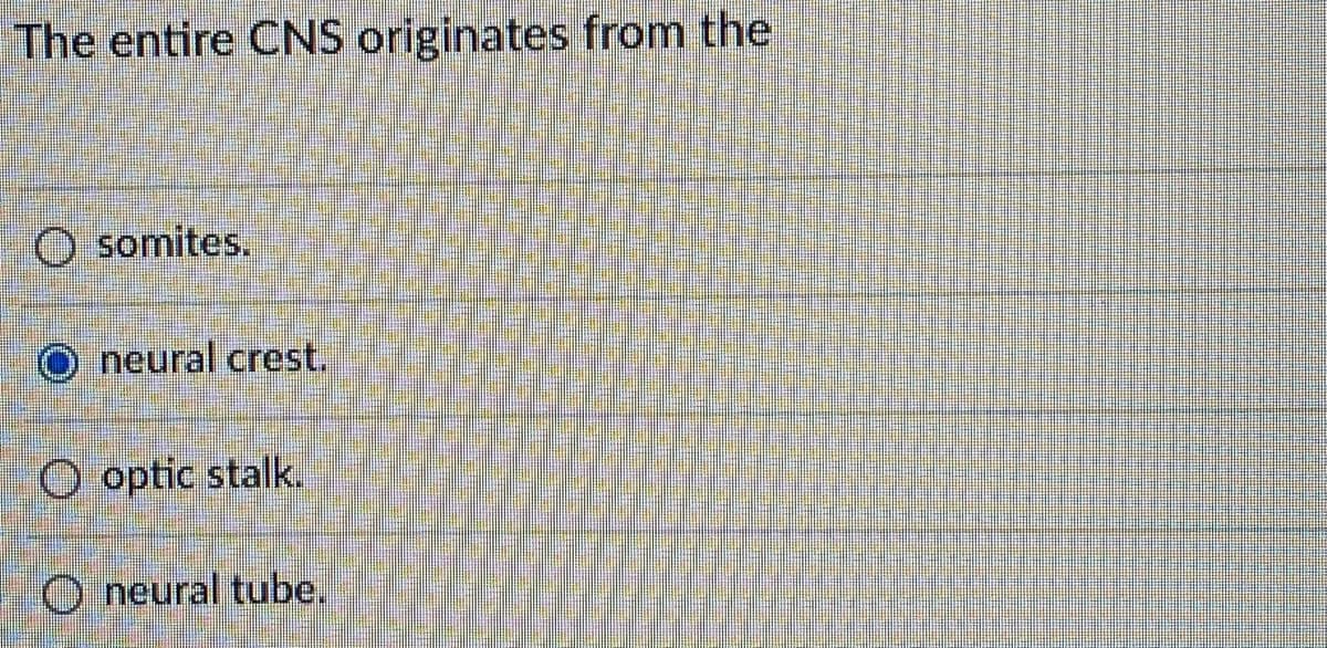 The entire CNS originates from the
O somites.
neural crest.
O optic stalk.
O neural tube.
