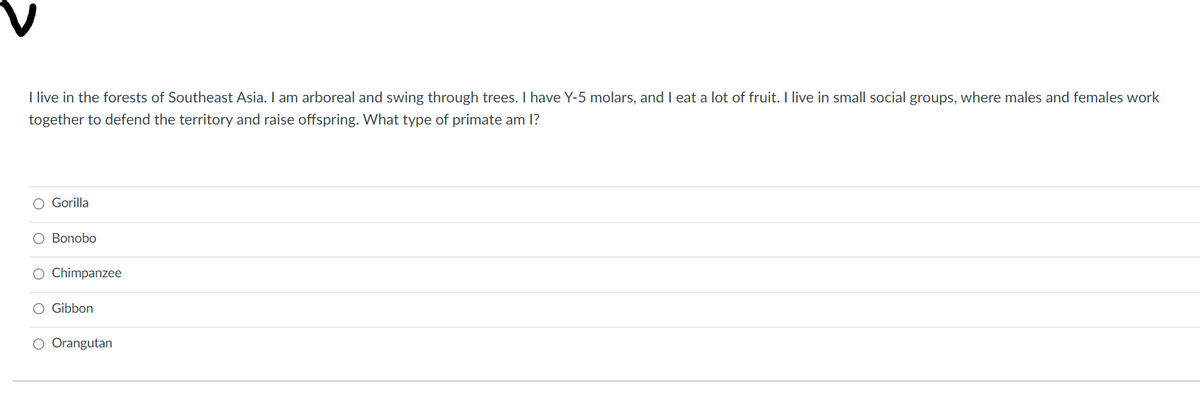 I live in the forests of Southeast Asia. I am arboreal and swing through trees. I have Y-5 molars, and I eat a lot of fruit. I live in small social groups, where males and females work
together to defend the territory and raise offspring. What type of primate am I?
O Gorilla
O Bonobo
O Chimpanzee
O Gibbon
O Orangutan
