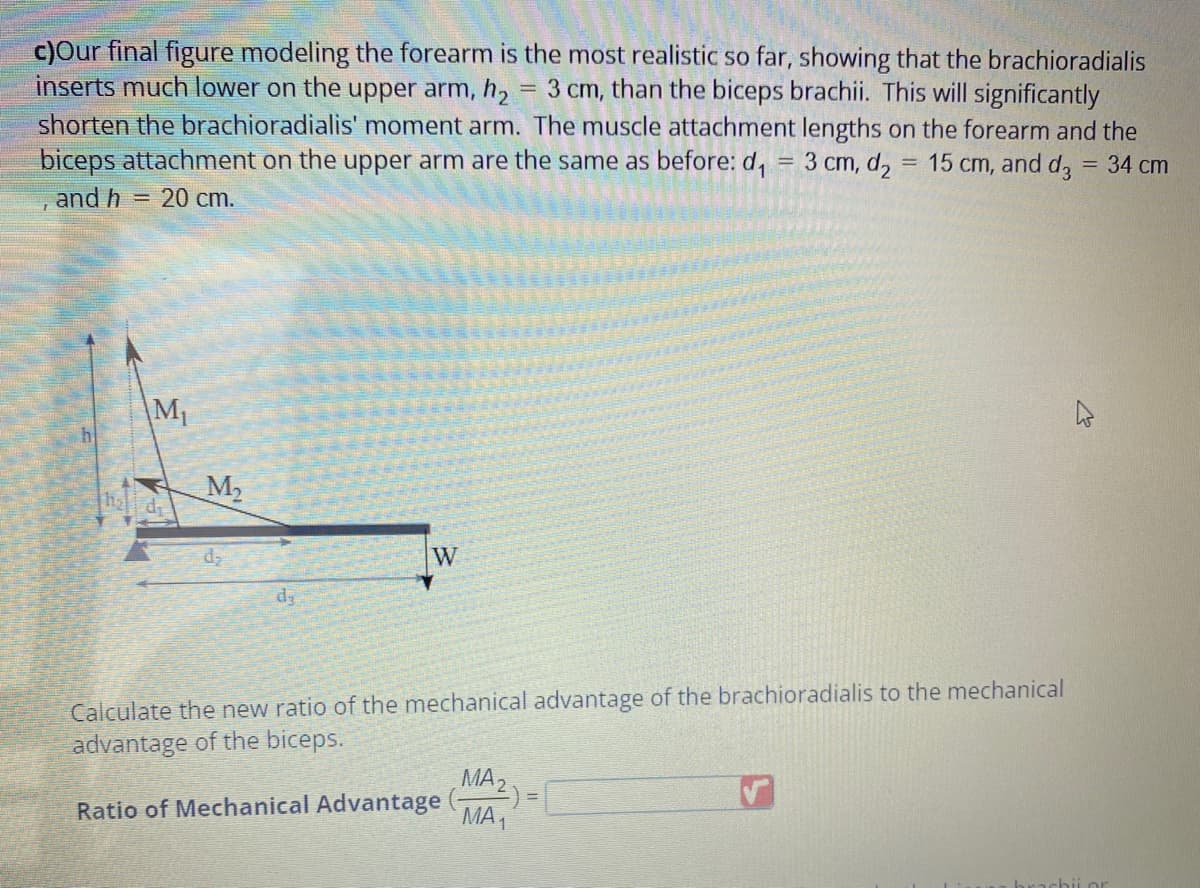 c)Our final figure modeling the forearm is the most realistic so far, showing that the brachioradialis
inserts much lower on the upper arm, h₂ 3 cm, than the biceps brachii. This will significantly
=
shorten the brachioradialis' moment arm. The muscle attachment lengths on the forearm and the
biceps attachment on the upper arm are the same as before: d₁ = 3 cm, d₂ = 15 cm, and d3 = 34 cm
and h = 20 cm.
M₁
M₂
d₂
W
Calculate the new ratio of the mechanical advantage of the brachioradialis to the mechanical
advantage of the biceps.
Ratio of Mechanical Advantage
MAZ) =
MA1
achii or