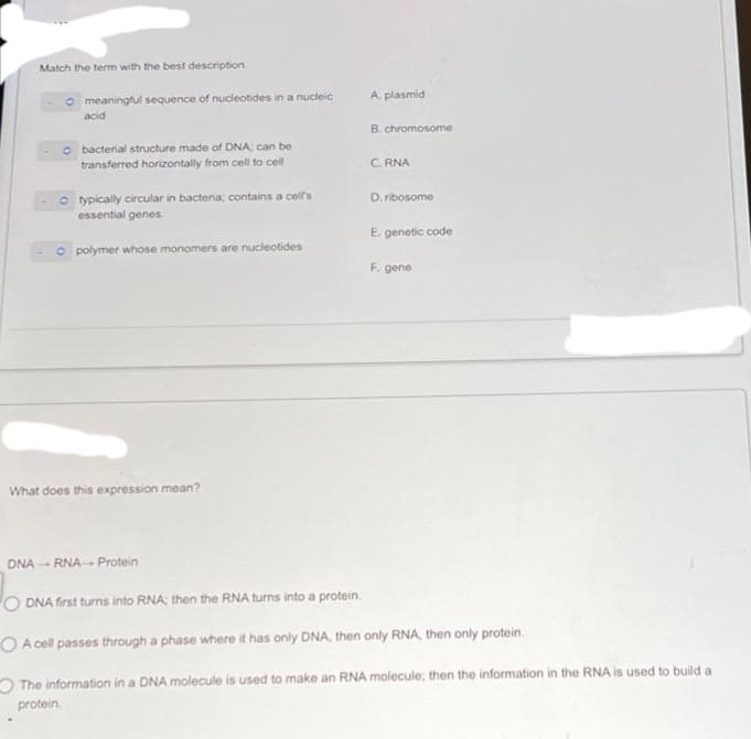 Match the term with the best description
meaningful sequence of nucleotides in a nucleic
acid
bacterial structure made of DNA; can be
transferred horizontally from cell to cell
typically circular in bacteria; contains a cell's
essential genes.
polymer whose monomers are nucleotides
What does this expression mean?
DNARNA- Protein
A. plasmid
B. chromosome
C. RNA
D. ribosome
E. genetic code
F. gene
DNA first turns into RNA; then the RNA turns into a protein.
OA cell passes through a phase where it has only DNA, then only RNA, then only protein.
The information in a DNA molecule is used to make an RNA molecule; then the information in the RNA is used to build a
protein.