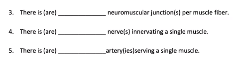 3. There is (are)
neuromuscular junction(s) per muscle fiber.
4. There is (are)
nerve(s) innervating a single muscle.
5. There is (are)
_artery(ies)serving a single muscle.
