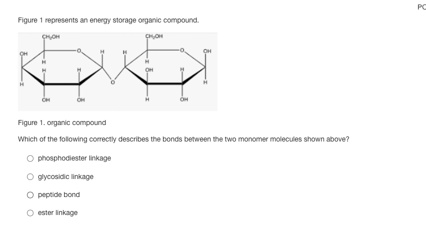 Figure 1 represents an energy storage organic compound.
CH₂OH
H
CH₂OH
OH
H
OH
H
OH
O phosphodiester linkage
O glycosidic linkage
peptide bond
ester linkage
OH
OH
Figure 1. organic compound
Which of the following correctly describes the bonds between the two monomer molecules shown above?
PC