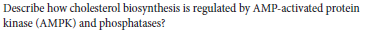Describe how cholesterol biosynthesis is regulated by AMP-activated protein
kinase (AMPK) and phosphatases?
