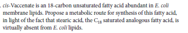 cis-Vaccenate is an 18-carbon unsaturated fatty acid abundant in E. coli
membrane lipids. Propose a metabolic route for synthesis of this fatty acid,
in light of the fact that stearic acid, the C18 saturated analogous fatty acid, is
virtually absent from E. coli lipids.
