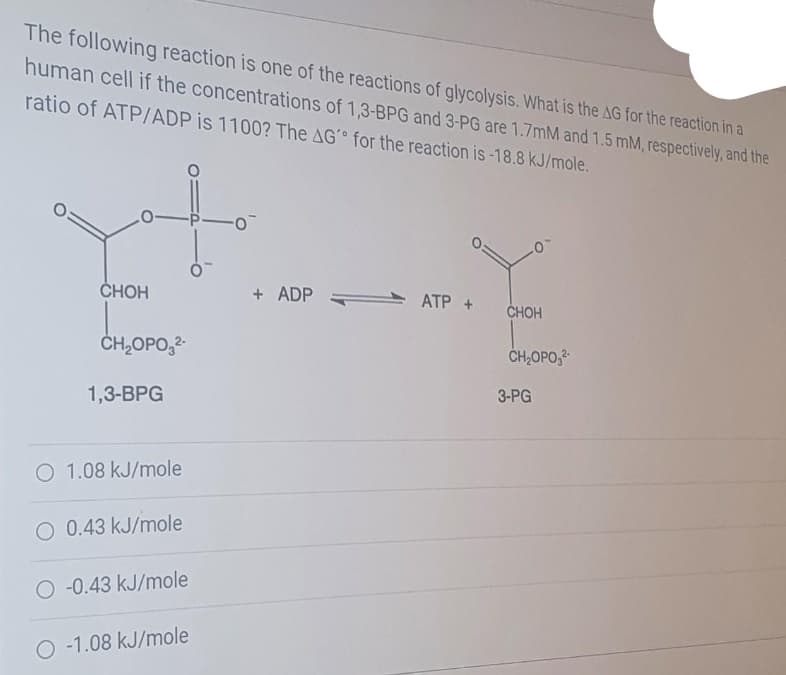 The following reaction is one of the reactions of glycolysis. What is the AG for the reaction in a
human cell if the concentrations of 1,3-BPG and 3-PG are 1.7mM and 1.5 mM, respectively, and the
ratio of ATP/ADP is 1100? The AG´° for the reaction is-18.8 kJ/mole.
CHOH
+ ADP
- ATP +
CHOH
ČH,OPO,2
CH,OPO,
1,3-BPG
3-PG
O 1.08 kJ/mole
O 0.43 kJ/mole
O -0.43 kJ/mole
O -1.08 kJ/mole
