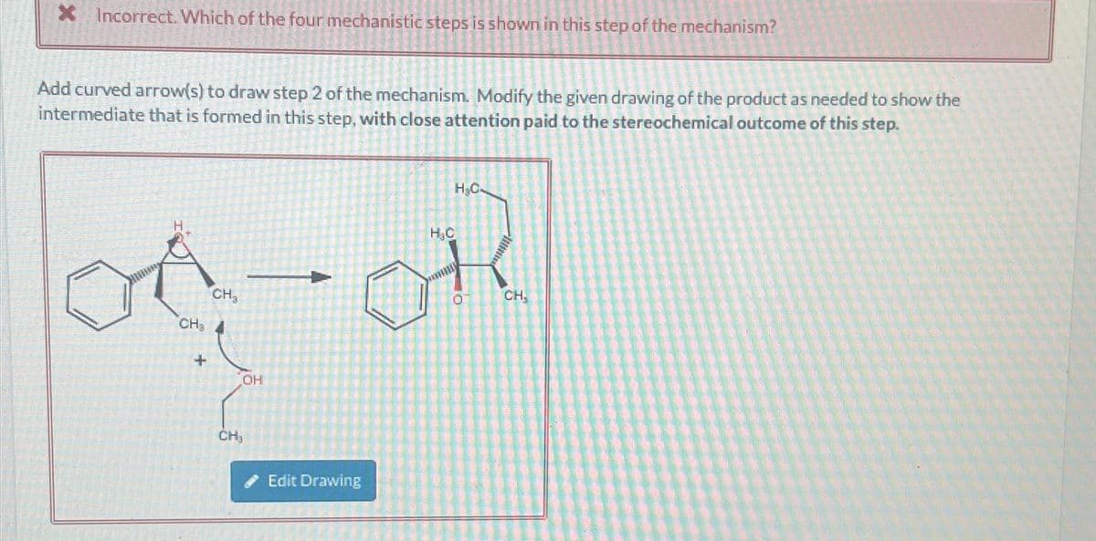 X Incorrect. Which of the four mechanistic steps is shown in this step of the mechanism?
Add curved arrow(s) to draw step 2 of the mechanism. Modify the given drawing of the product as needed to show the
intermediate that is formed in this step, with close attention paid to the stereochemical outcome of this step.
CH₂
+
CH₂
OH
CH₁
H₂C.
H₂C
OR
Edit Drawing
CH,