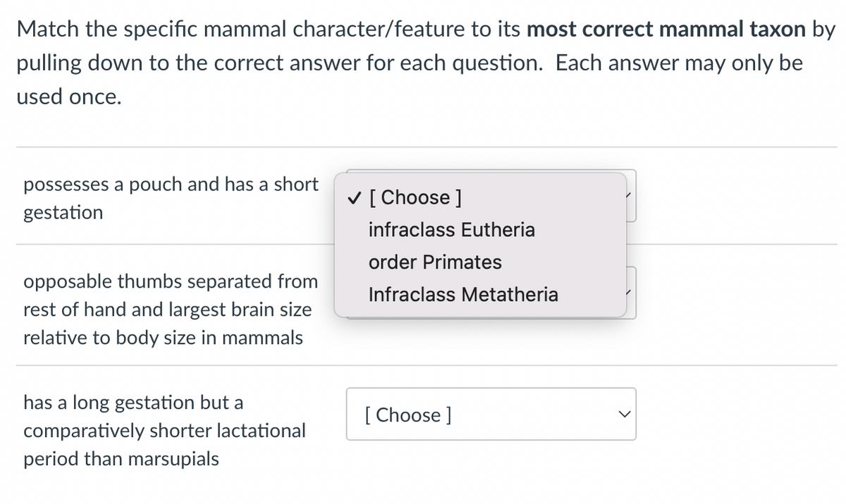 Match the specific mammal character/feature to its most correct mammal taxon by
pulling down to the correct answer for each question. Each answer may only be
used once.
possesses a pouch and has a short
gestation
opposable thumbs separated from
rest of hand and largest brain size
relative to body size in mammals
has a long gestation but a
comparatively shorter lactational
period than marsupials
✓ [Choose ]
infraclass Eutheria
order Primates
Infraclass Metatheria
[Choose ]