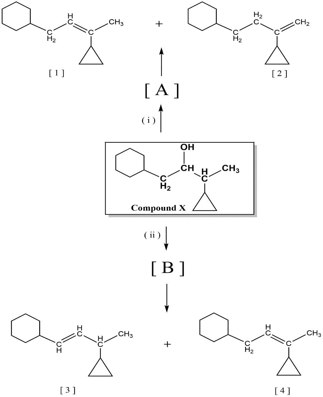 CH2
CH3
+
H2
[2]
[1]
[ A]
OH
CH
CH3
H2
Compound X
( ii )
[B]
CH3
CH3
[4]
[3]
