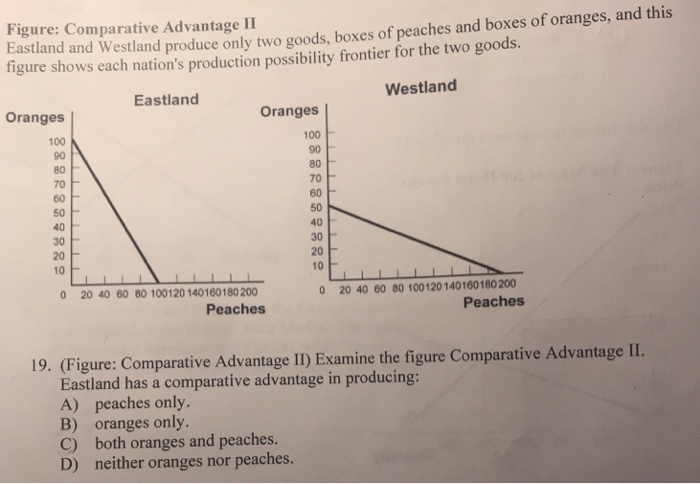 Figure: Comparative Advantage II
Eastland and Westland produce only two goods, boxes of peaches and boxes of oranges, and this
figure shows each nation's production possibility frontier for the two goods.
Eastland
Westland
Oranges
100
90
80
70
60
50
40
30
20
10
Oranges
1
0 20 40 60 80 100120 140160180 200
Peaches
A) peaches only.
B) oranges only.
100
90
80
70
60
50
40
30
20
10
19. (Figure: Comparative Advantage II) Examine the figure Comparative Advantage II.
Eastland has a comparative advantage in producing:
C) both oranges and peaches.
D) neither oranges nor peaches.
0 20 40 60 80 100 120 140 160 180 200
Peaches