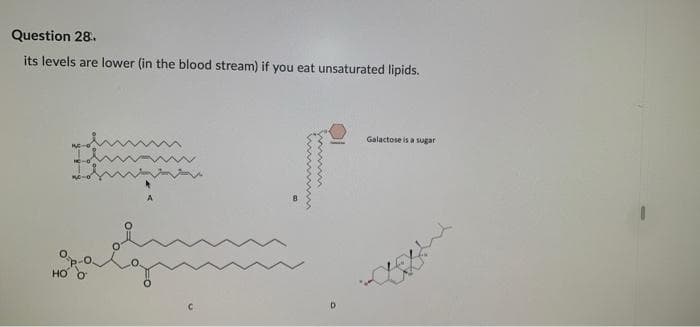 Question 28.
its levels are lower (in the blood stream) if you eat unsaturated lipids.
Galactose is a sugar
HO
