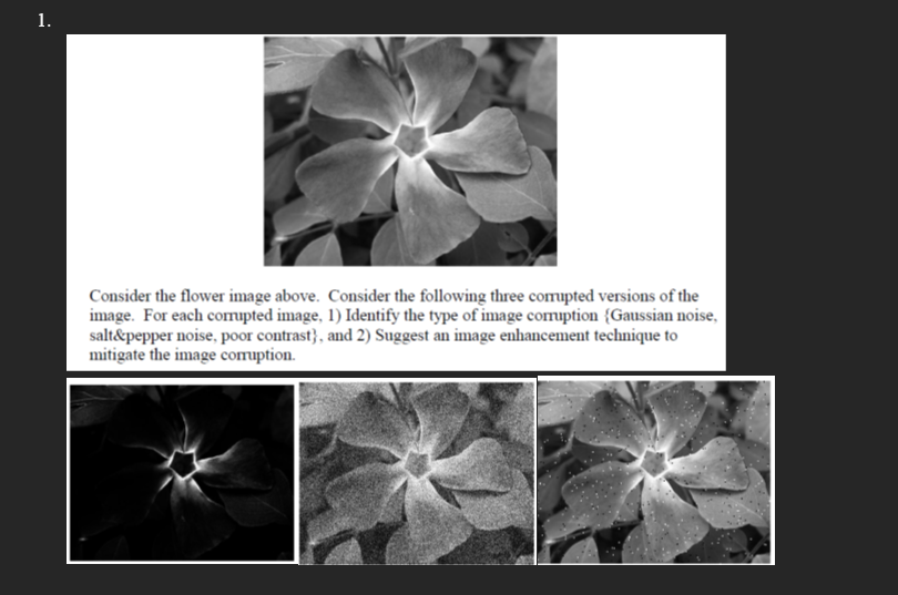 1.
Consider the flower image above. Consider the following three comupted versions of the
image. For each corupted image, 1) Identify the type of image corruption {Gaussian noise,
salt&pepper noise, poor contrast}, and 2) Suggest an image enhancement technique to
mitigate the image comuption.
