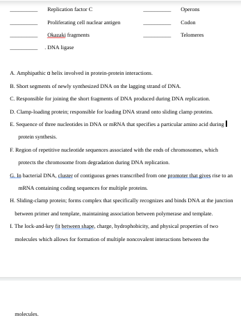 Replication factor C
Proliferating cell nuclear antigen
Okazaki fragments
DNA Ligase
Operans
Codon
Telomeres
A. Amphipathic a helix involved in protein-protein interactions.
B. Short segments of newly synthesized DNA on the lagging strand of DNA.
C. Responsible for joining the short fragments of DNA produced during DNA replication.
D. Clamp-loading protein; responsible for loading DNA strand onto sliding clamp proteins.
E. Sequence of three nucleotides in DNA or mRNA that specifies a particular amino acid during
protein synthesis.
F. Region of repetitive nucleotide sequences associated with the ends of chromosomes, which
protects the chromosome from degradation during DNA replication.
molecules.
G. In bacterial DNA, cluster of contiguous genes transcribed from one promoter that gives rise to an
mRNA containing coding sequences for multiple proteins.
H. Sliding-clamp protein; forms complex that specifically recognizes and binds DNA at the junction
between primer and template, maintaining association between polymerase and template.
I. The lock-and-key fit between shape, charge, hydrophobicity, and physical properties of two
molecules which allows for formation of multiple noncovalent interactions between the