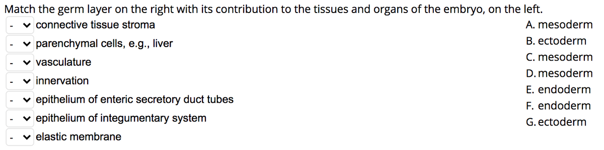 Match the germ layer on the right with its contribution to the tissues and organs of the embryo, on the left.
v connective tissue stroma
A. mesoderm
v parenchymal cells, e.g., liver
B. ectoderm
C. mesoderm
D. mesoderm
E. endoderm
F. endoderm
vasculature
v innervation
v epithelium of enteric secretory duct tubes
v epithelium of integumentary system
G. ectoderm
v elastic membrane
