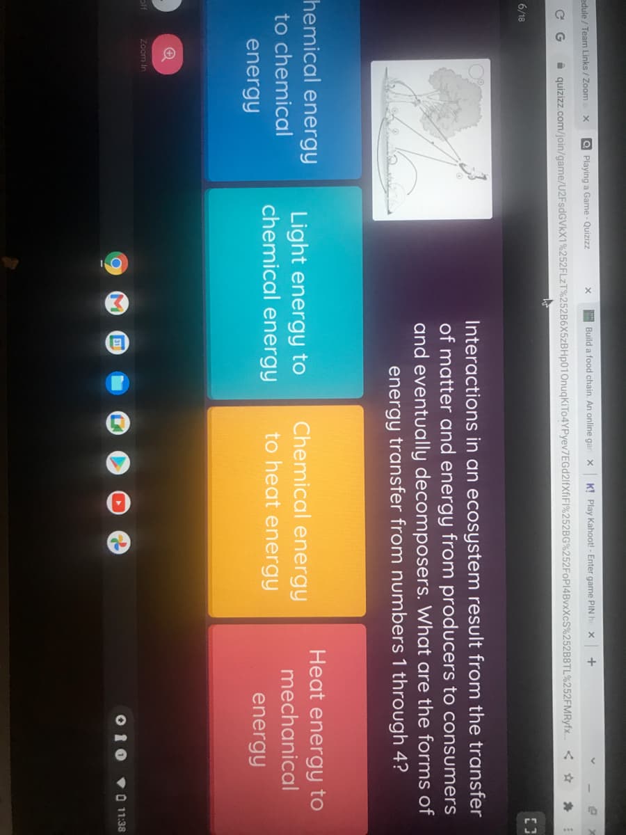 edule / Team Links / Zoom
Q Playing a Game - Quizizz
Build a food chain. An online gar X
K! Play Kahoot! - Enter game PIN he x
+
C G
i quizizz.com/join/game/U2FsdGVkX1%252FLZT%252B6X5zBHp010nuqKiTo4YPyev7EGd2lfXfiF1%252BG%252FOP14BVXXCS%252B8TL%252FMRyfx.
6/18
Interactions in an ecosystem result from the transfer
of matter and energy from producers to consumers
and eventually decomposers. What are the forms of
energy transfer from numbers 1 through 4?
hemical energy
Chemical energy
Heat energy to
Light energy to
chemical energy
to chemical
mechanical
to heat energy
energy
energy
off
Zoom In
010
VO 11:38
