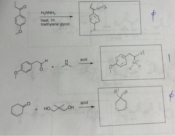 H₂NNH₂
heat, 1h
triethylene glycol
.
IZ
нохон
acid
acid
-NH₂
4
OLI
8
N
$