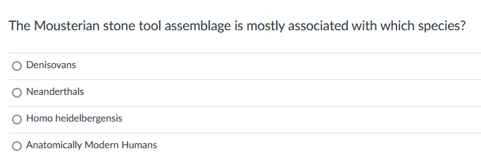 The Mousterian stone tool assemblage is mostly associated with which species?
Denisovans
Neanderthals
Homo heidelbergensis
Anatomically Modern Humans