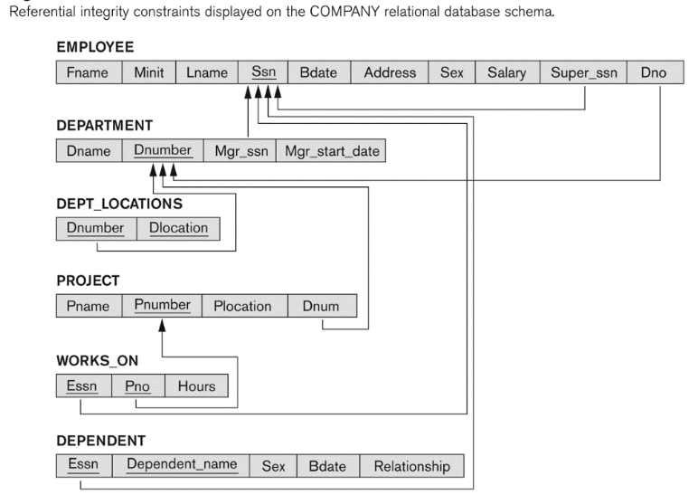 Referential integrity constraints displayed on the COMPANY relational database schema.
ΕMPLOYEΕ
Fname Minit Lname Ssn Bdate
Address
Sex Salary
Super ssn
Dno
DEPARTMENT
Dname Dnumber Mgr_ssn Mgr_start_date
DEPT_LOCATIONS
Dnumber
Dlocation
PROJECT
Pname Pnumber Plocation
Dnum
WORKS_ON
Essn
Pno
Hours
DEPENDENT
Essn
Dependent_name
Sex
Bdate
Relationship
